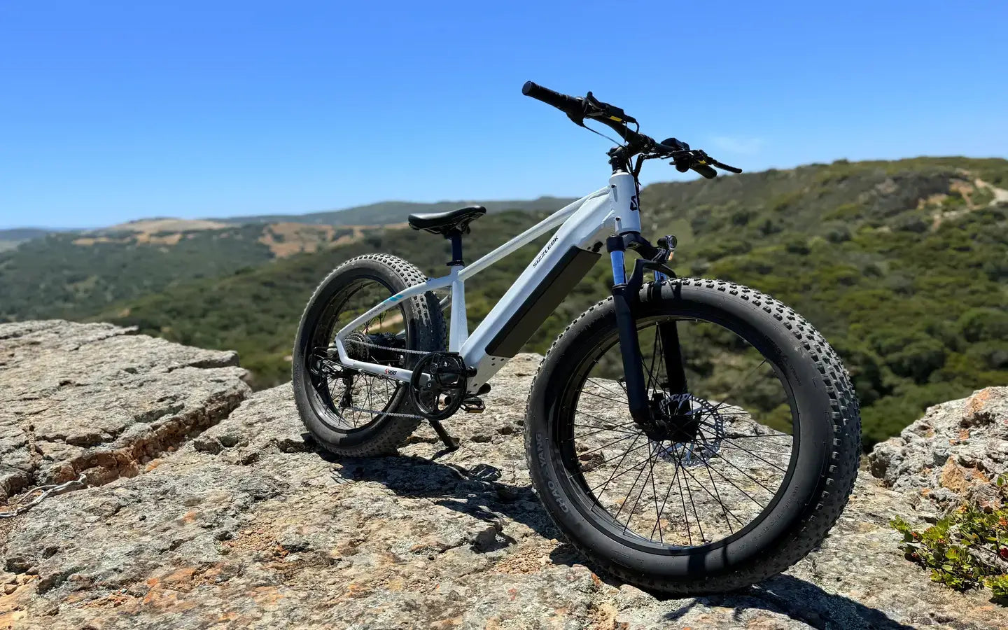 How to Choose the Best Fat Tire Electric Bikes in 2025