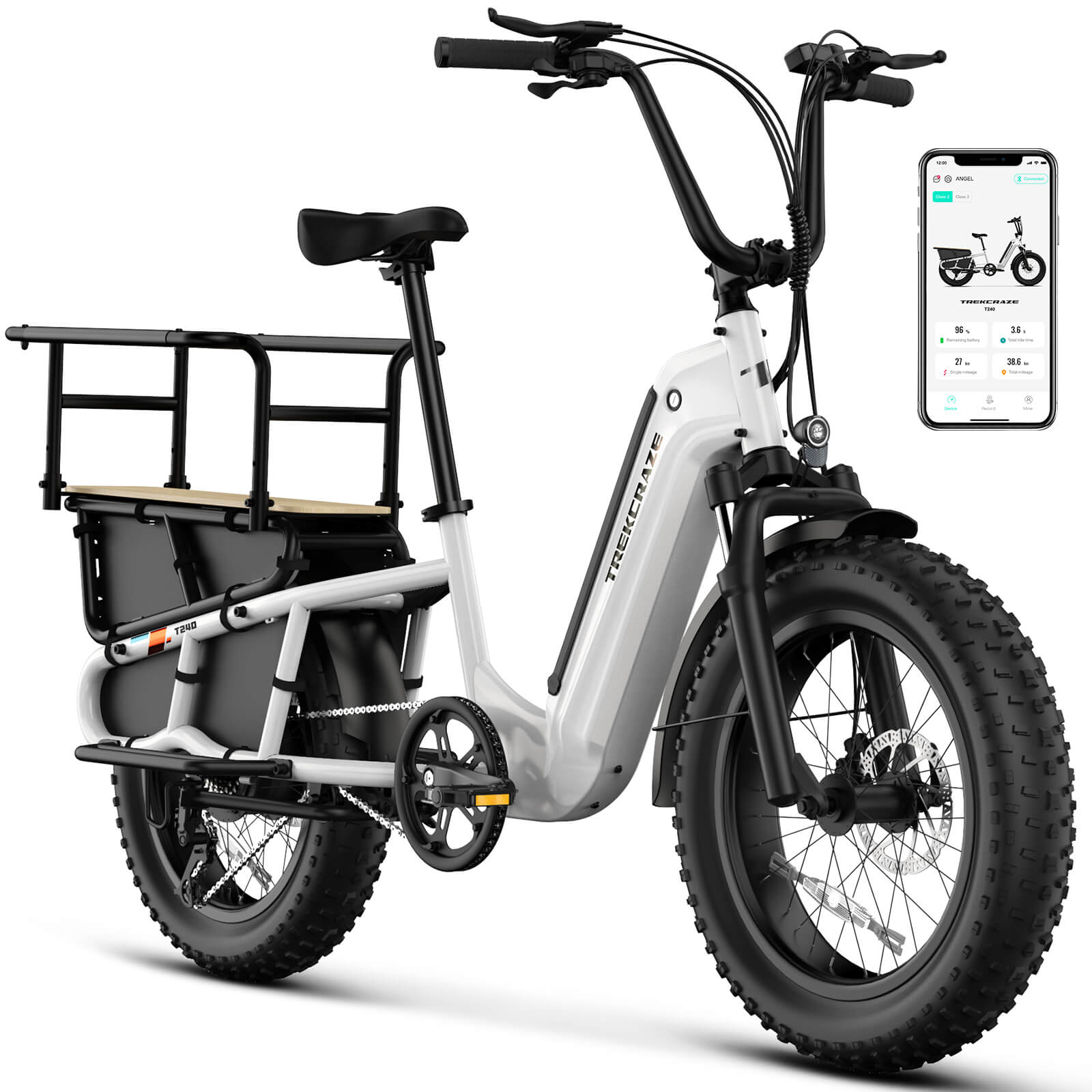 T240 20'' Cargo Ebike for Family