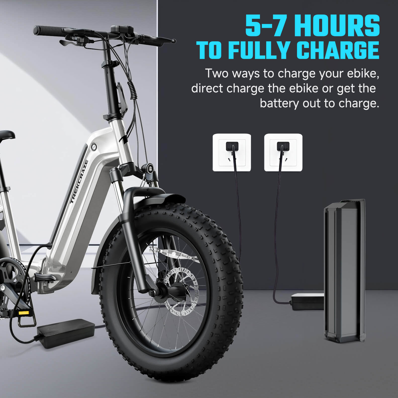 T200 20'' Foldable Fat Tire Ebike